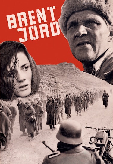 Brent Jord () Brent Jord