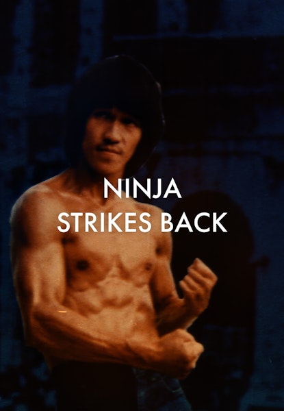Ninja Strikes Back