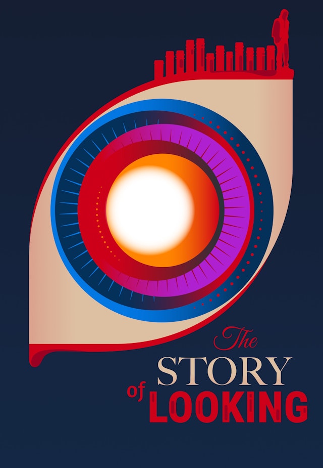 The Story of Looking