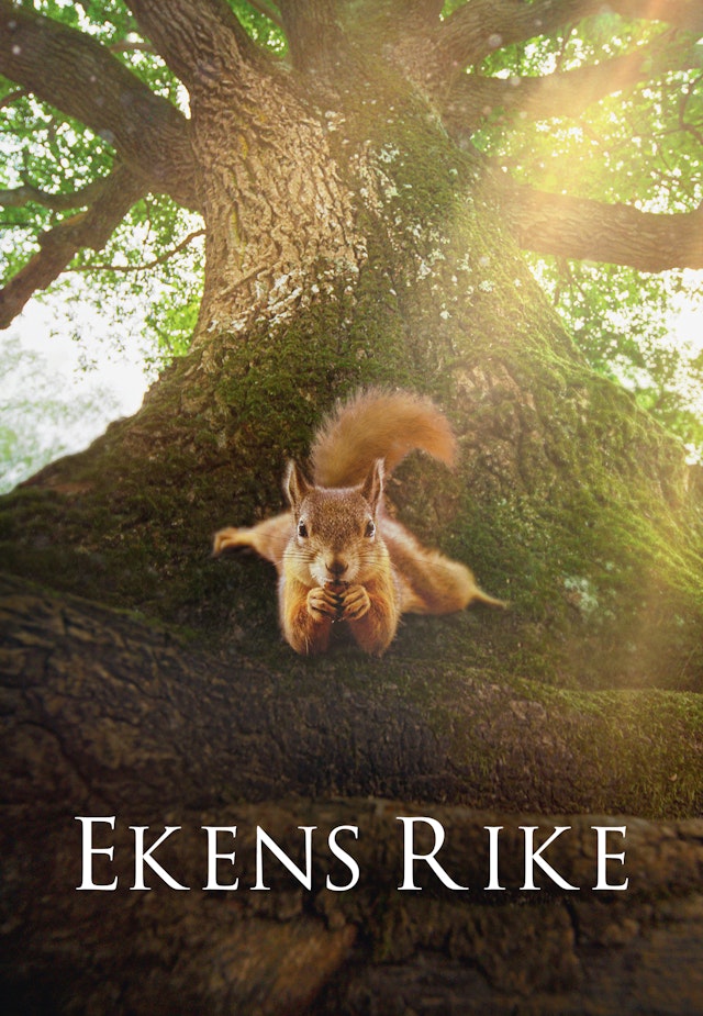 Ekens rike