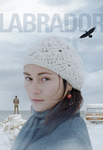 Labrador
