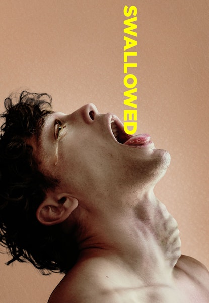 Swallowed