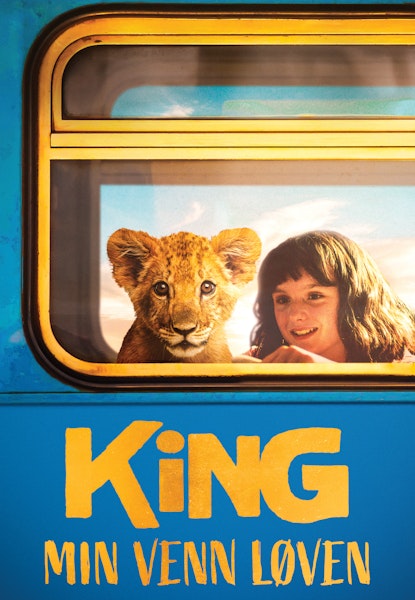 King - min venn løven