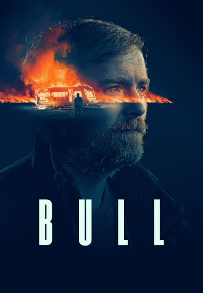 Bull