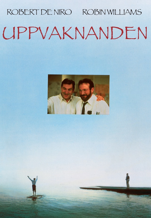 Uppvaknanden