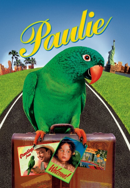 Paulie - papegojan som pratade för mycket