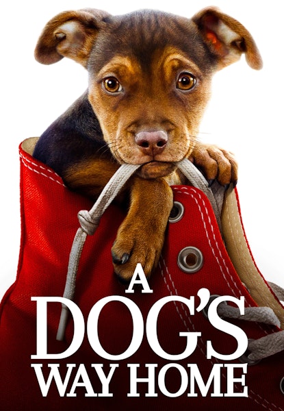 A Dog's Way Home