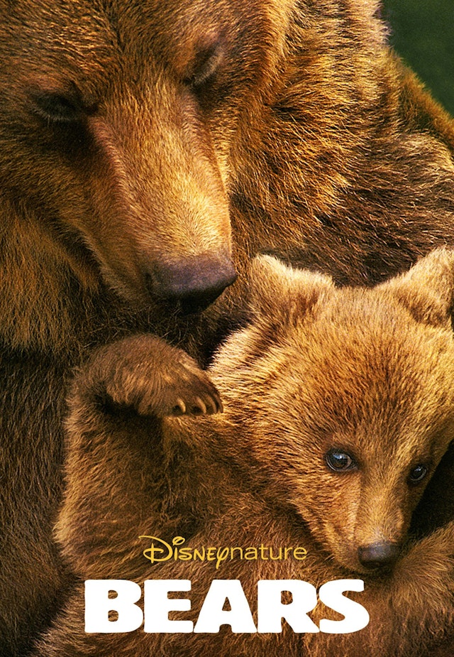 Bears