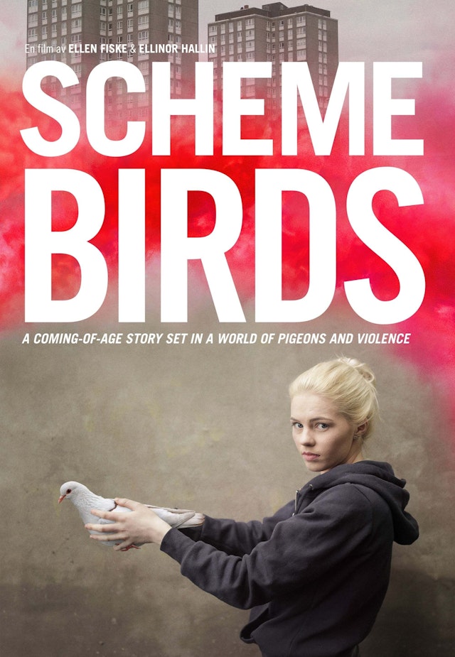 Scheme Birds