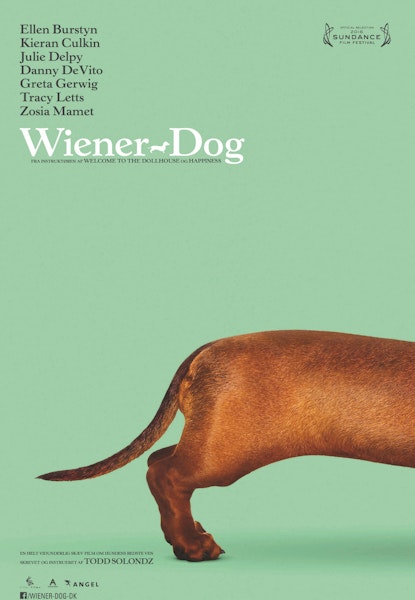 Wiener dog