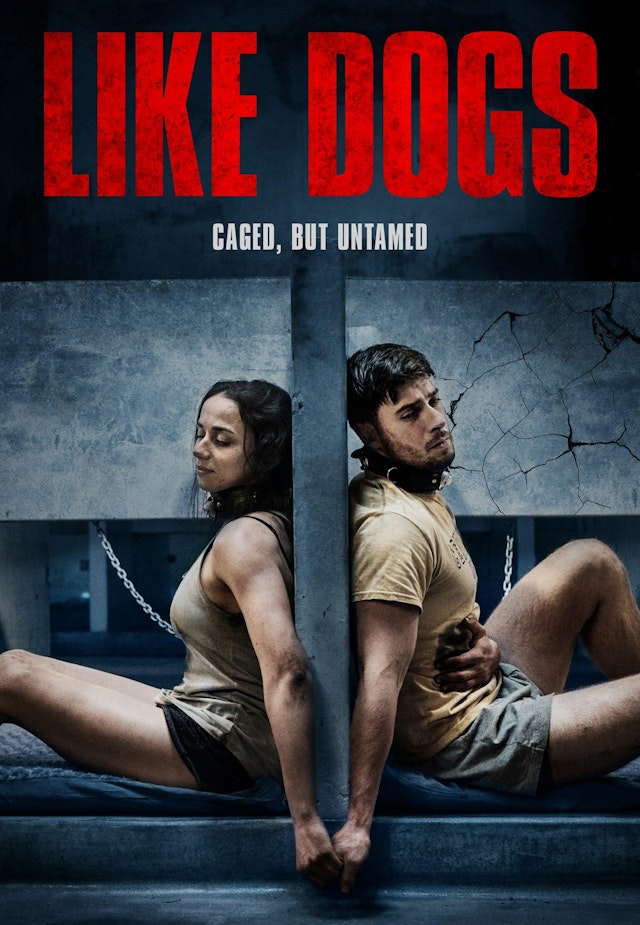 Like Dogs