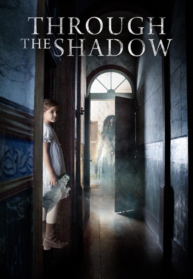 Through the Shadow