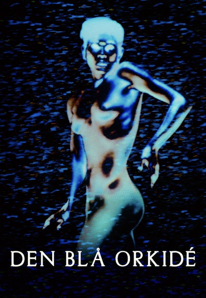 Den blå orkidé