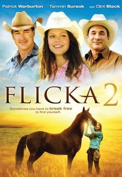 Flicka 2 - Friends forever