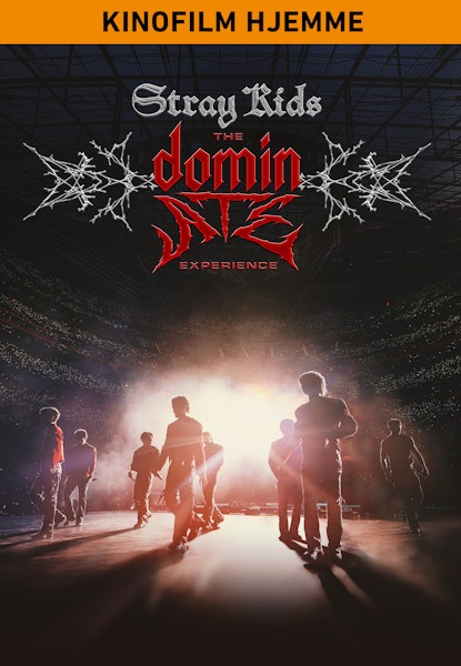 Stray Kids: The Dominate Experience