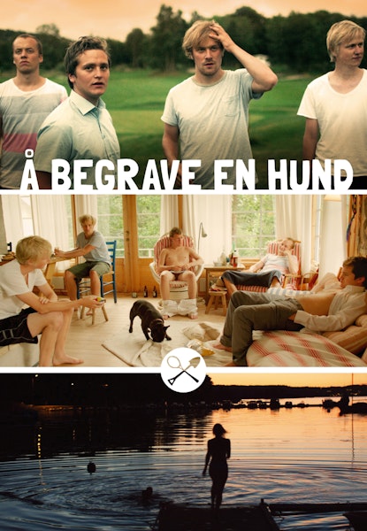 Å begrave en hund