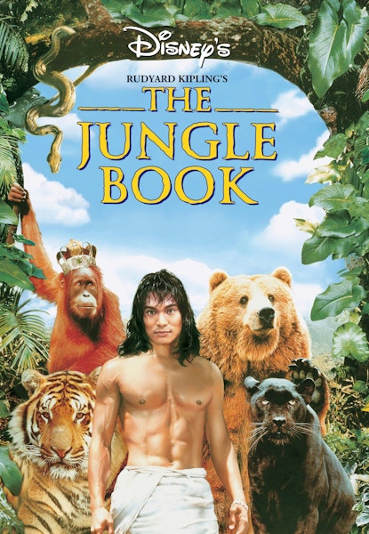 Junglebogen - jagten på abernes skat