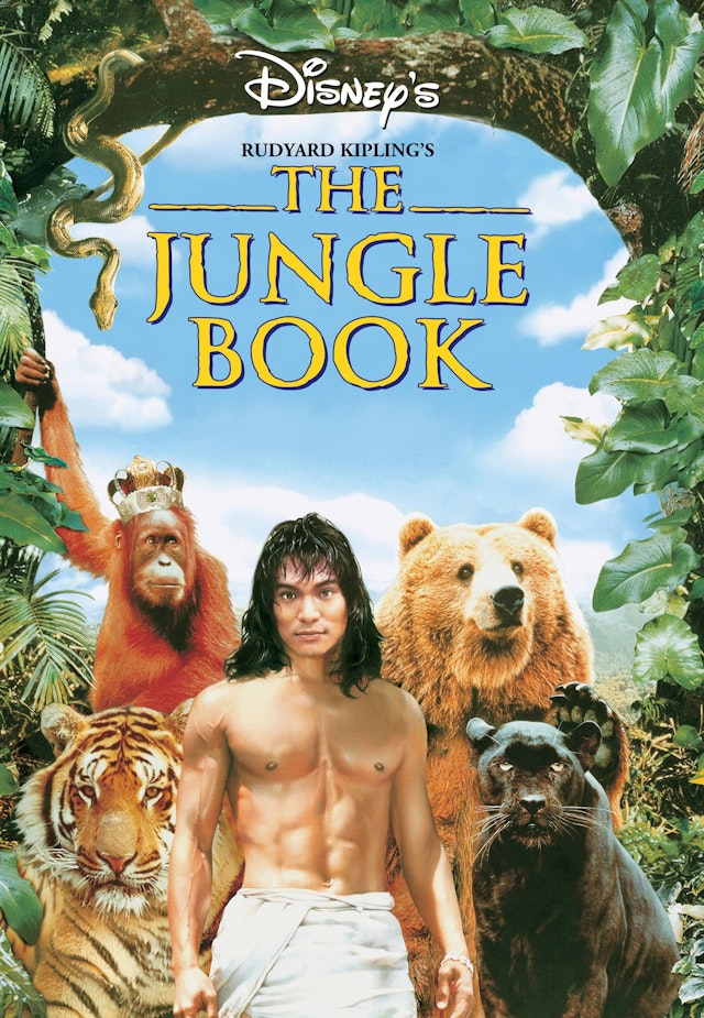 Junglebogen - jagten på abernes skat
