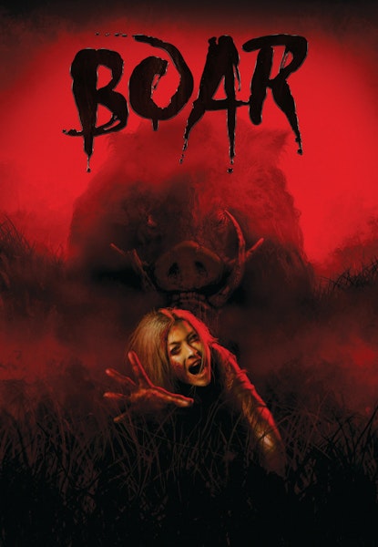 Boar