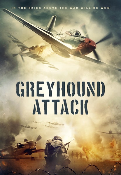 Greyhound Attack