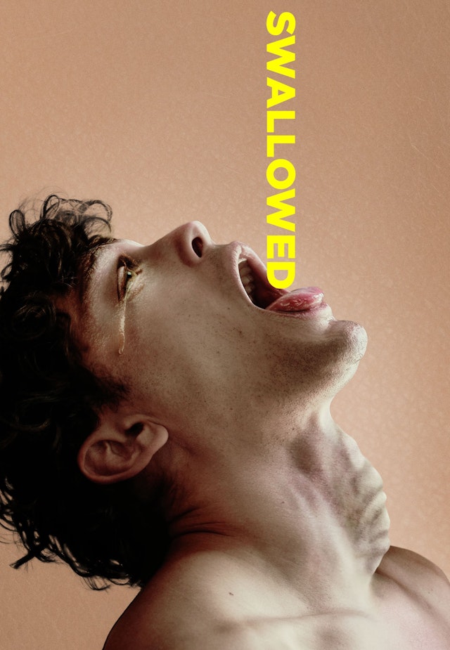 Swallowed