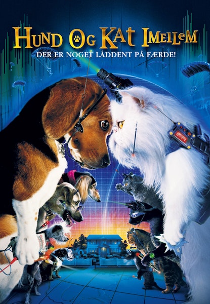 Hund og Kat Imellem