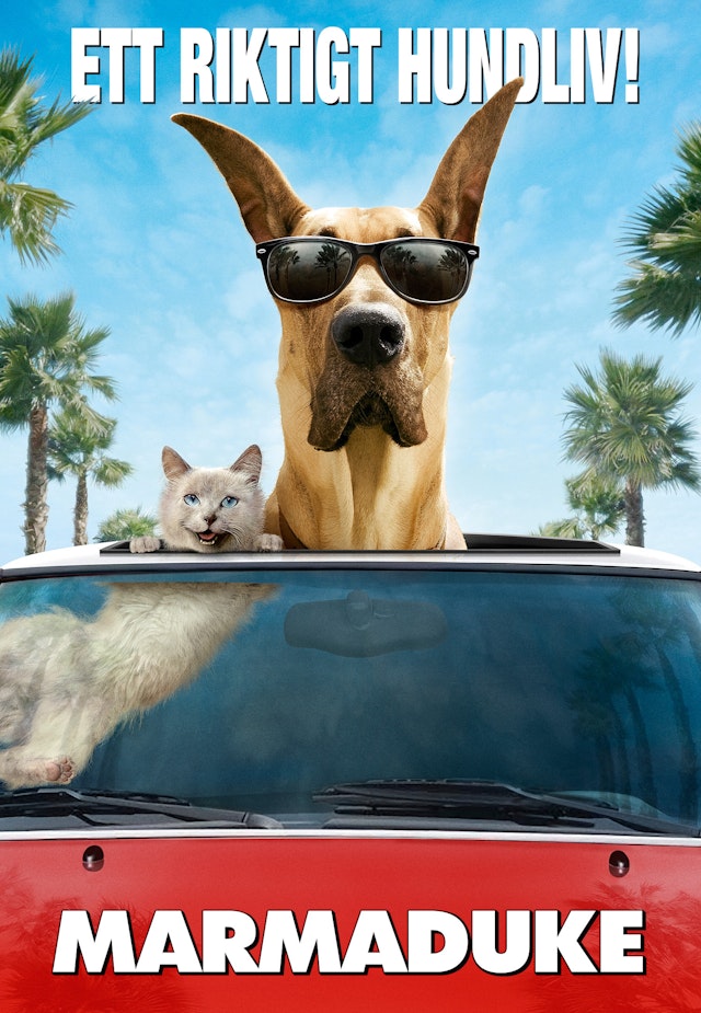 Marmaduke