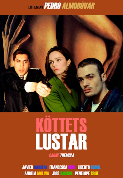 Köttets lustar