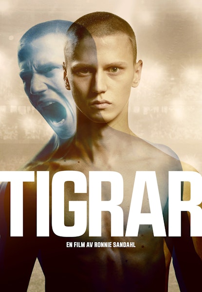 Tigrar