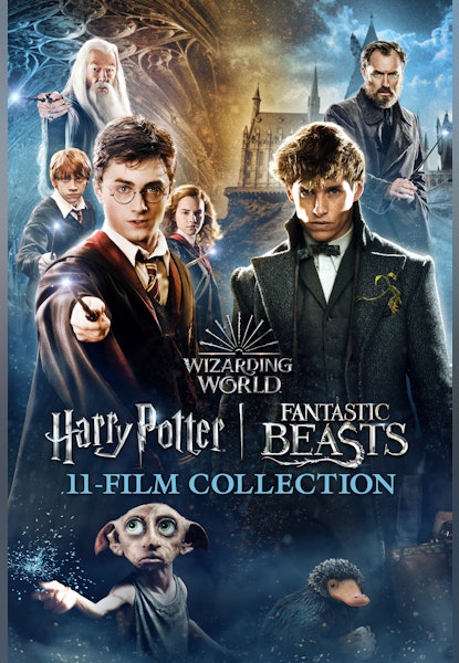 Wizarding World 11-Film Collection
