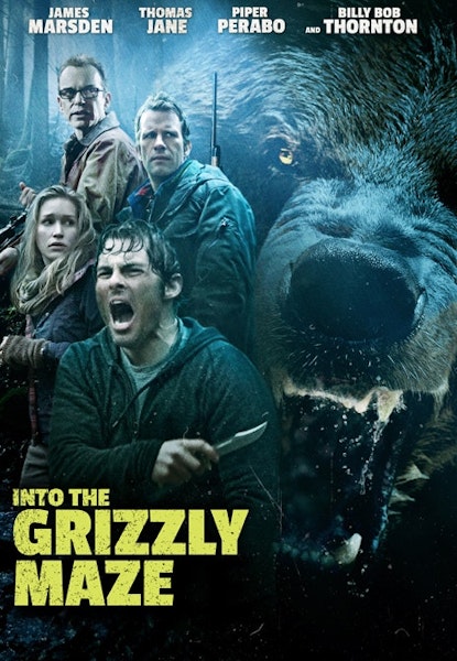 Into the Grizzly Maze