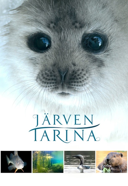 Järven tarina