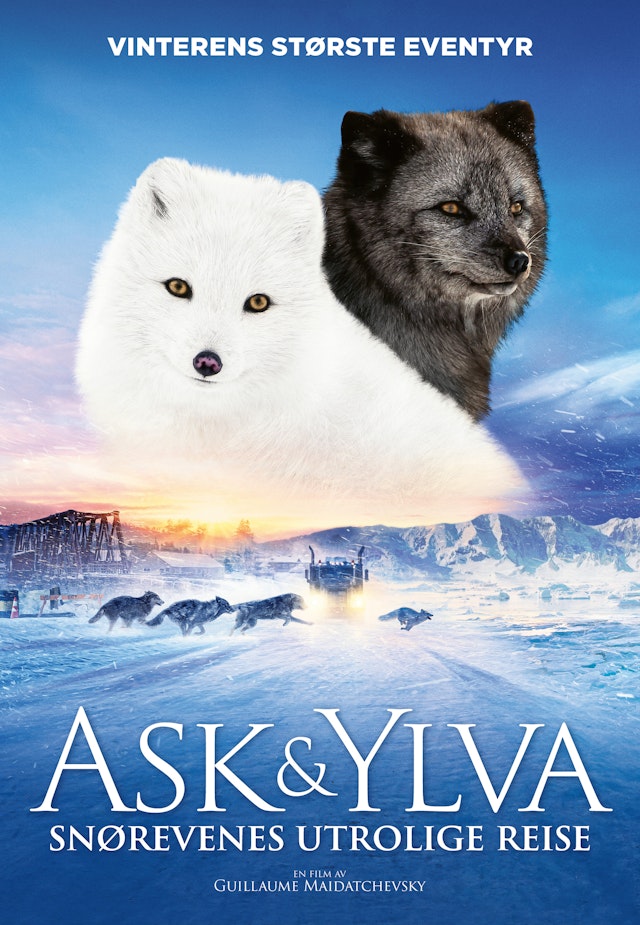 Ask & Ylva: Snørevenes utrolige reise