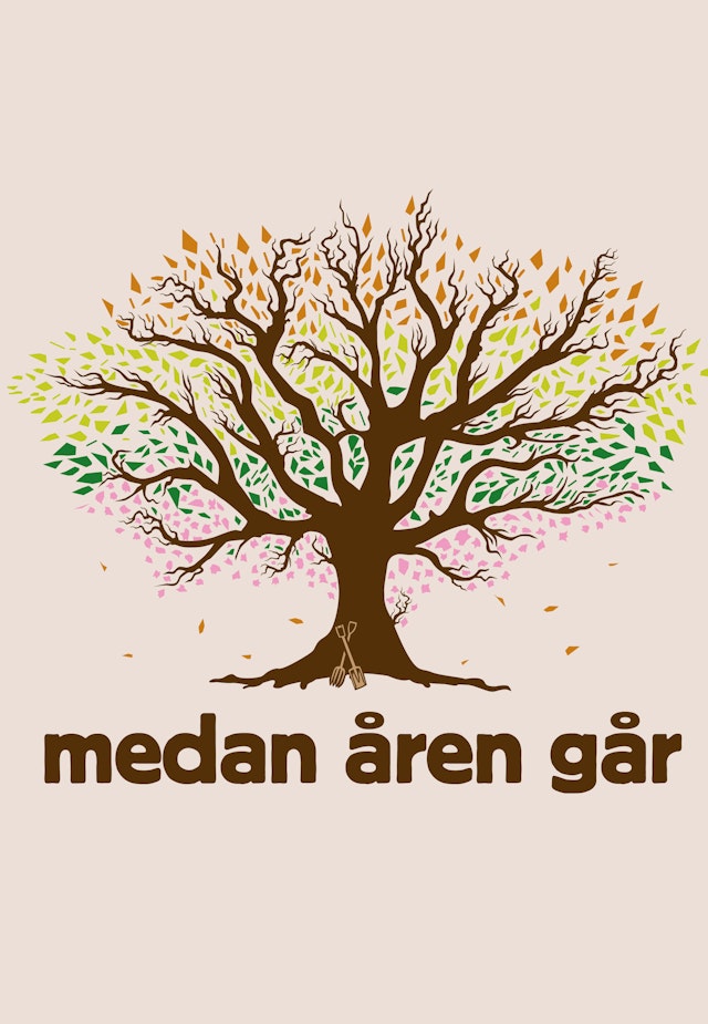 Medan åren går