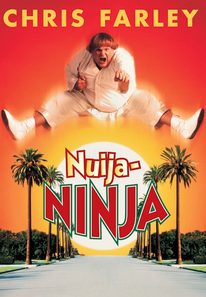 Nuija ninja