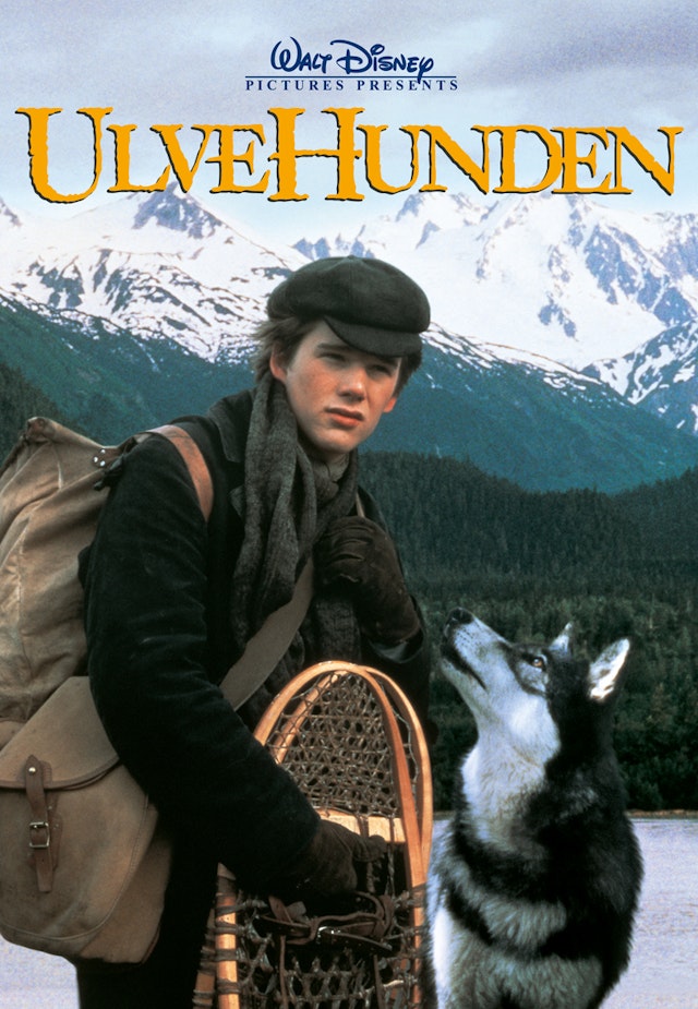 Ulvehunden