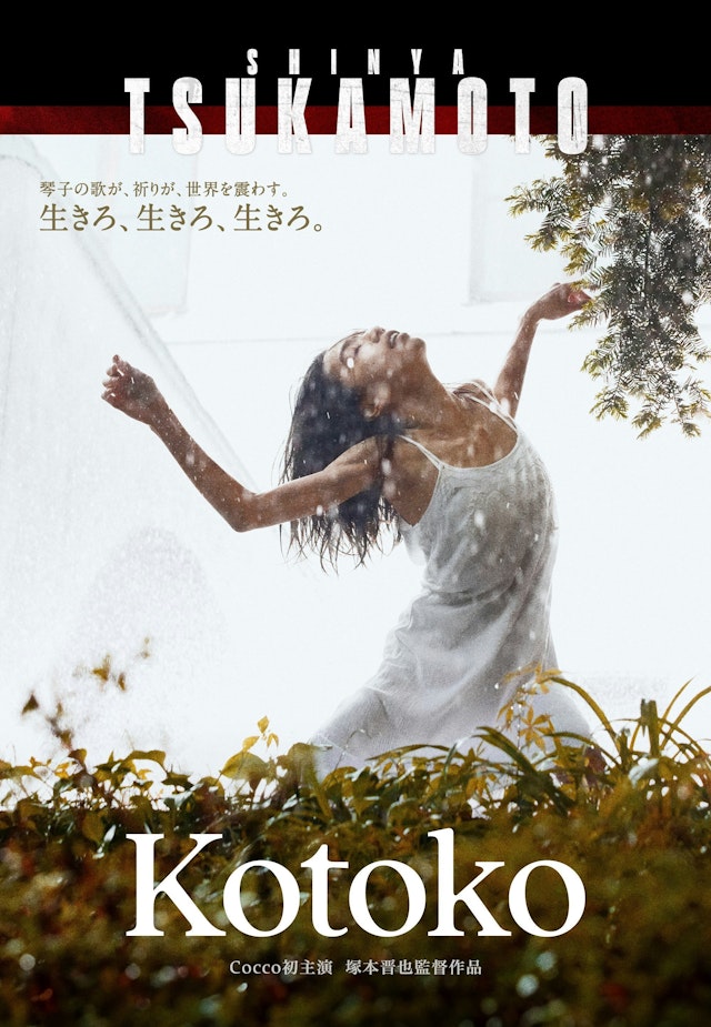 Kotoko