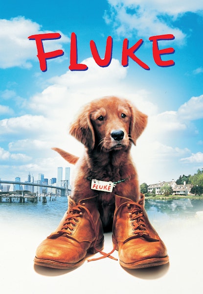 Fluke