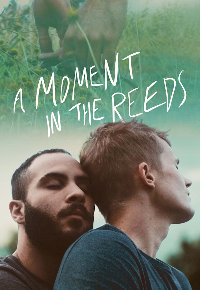 A Moment in the Reeds
