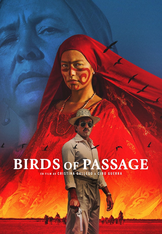 Birds of Passage