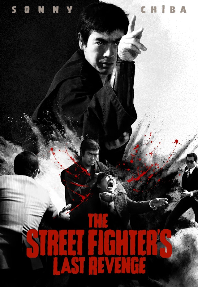 The Streetfighter's Last Revenge