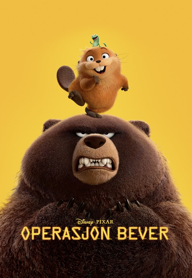 Operasjon bever
