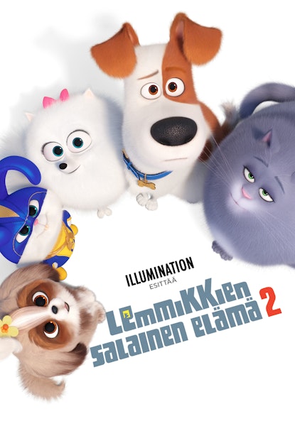 Lemmikkien salainen elämä 2