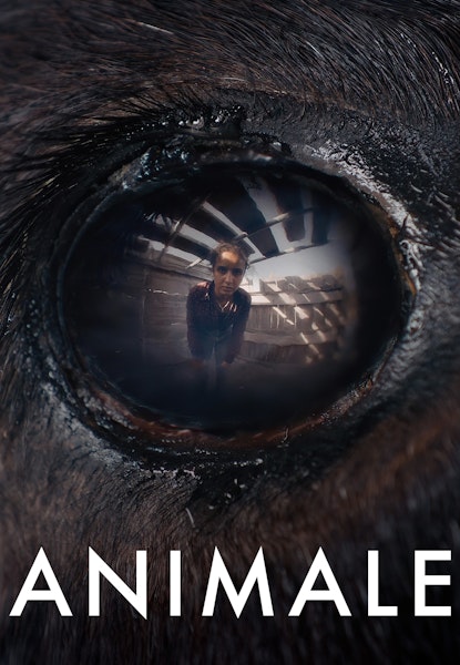 Animale