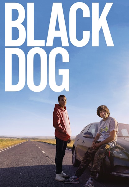 Black Dog