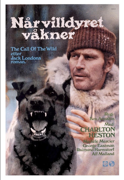 Når villdyret våkner