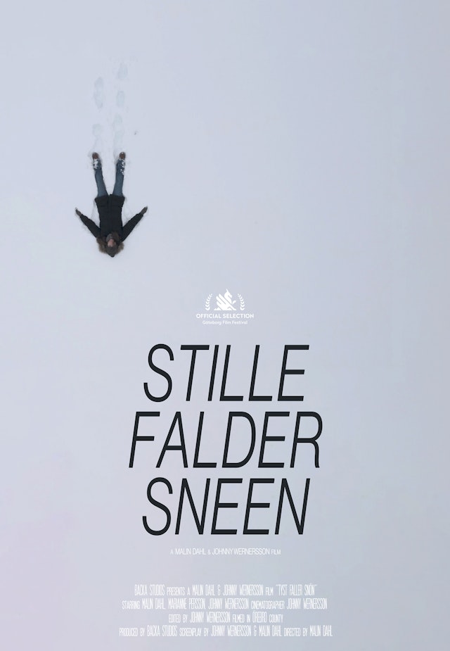 Stille Falder Sneen