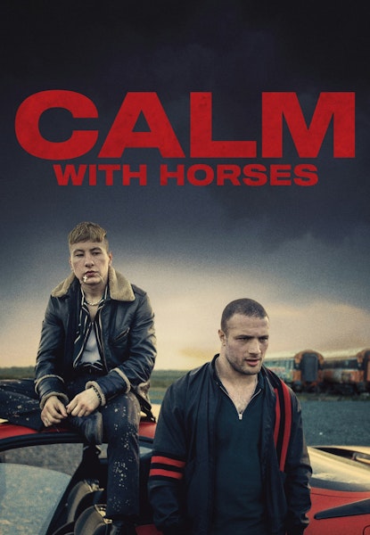 Calm with horses
