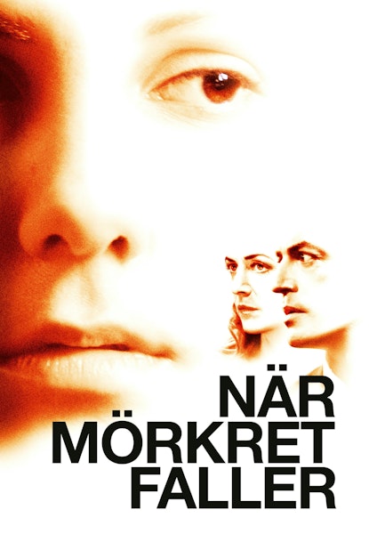 När mörkret faller