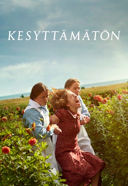 Kesyttämätön